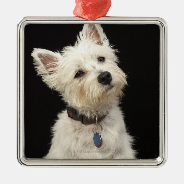 Westie (West Highland terrier) with collar Metal Tree Decoration (Front)