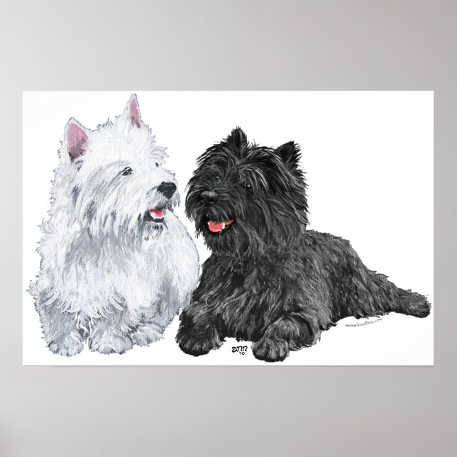 Westie with a Black Cairn Terrier Poster (Front)