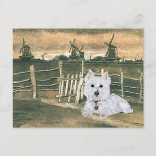 Westie with Windmills Postcard