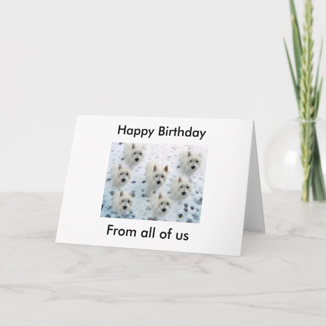 Westies in Snow "Happy Birthday from all of uss" Card (Front)