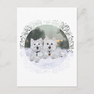 Westies in Wintertime Postcard