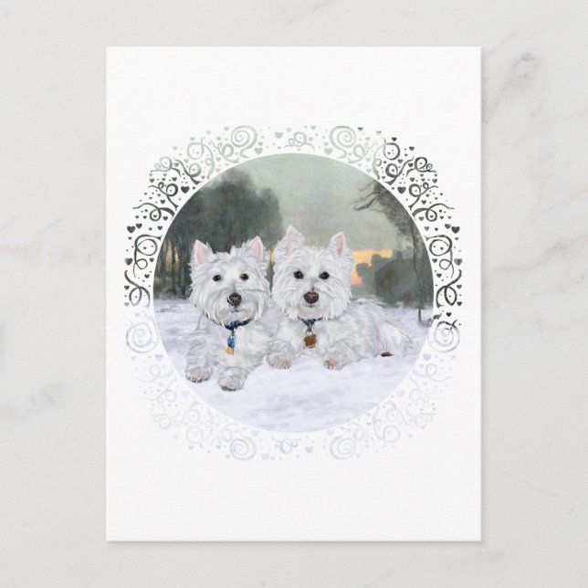 Westies in Wintertime Postcard (Front)