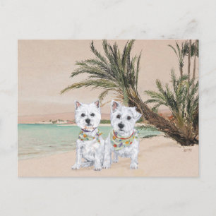 Westies on a Palmy Beach Postcard