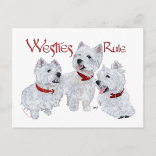 Westies Rule! Postcard