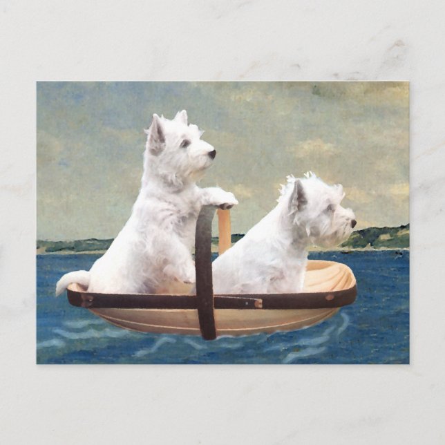 Westies Set Sail Postcard (Front)