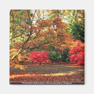 Westonbirt Arboretum, Gloucestershire, England Magnet
