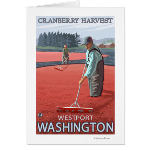 Westport, WashingtonCranberry Bog Harvest