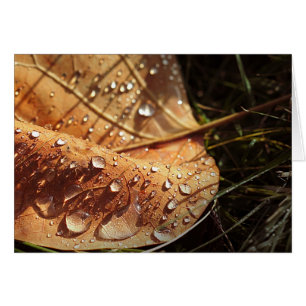 Wet Autumn Leaf - Card