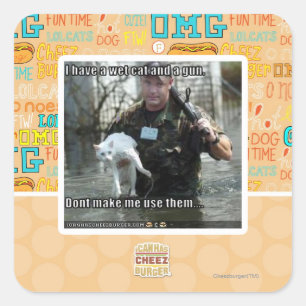 Wet cat and gun square sticker