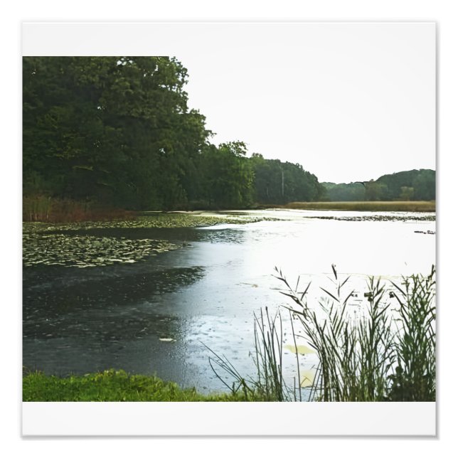 Wet Day Photo Print (Front)