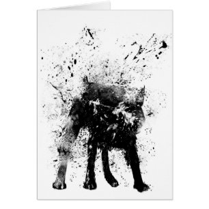 wet dog