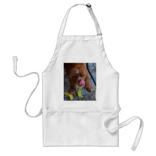 Wet Dog with a Banana Standard Apron