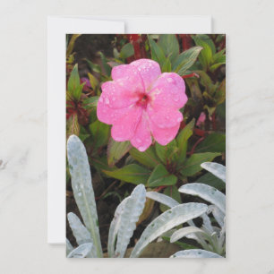 Wet Flower invitation, customise Invitation