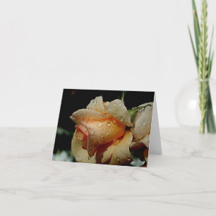Wet Orange Rose Card