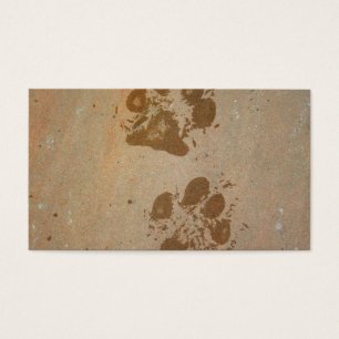 Wet Paw Prints
