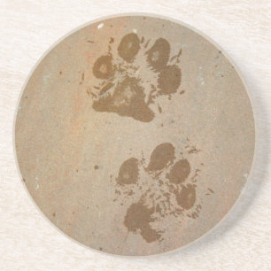 Wet Paw Prints Coaster