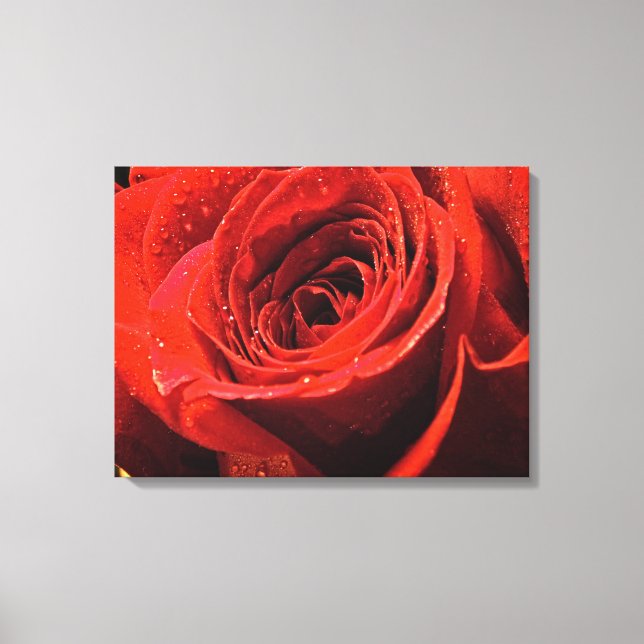 Wet red rose decor (Front)