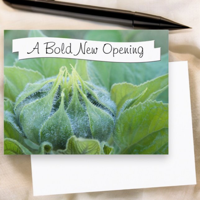 Wet Sunflower Bud Close Up Photograph Postcard (front dew covered sunflower photograph postcard with template text and blank back)