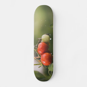 wet tomatoes on the vine skateboard