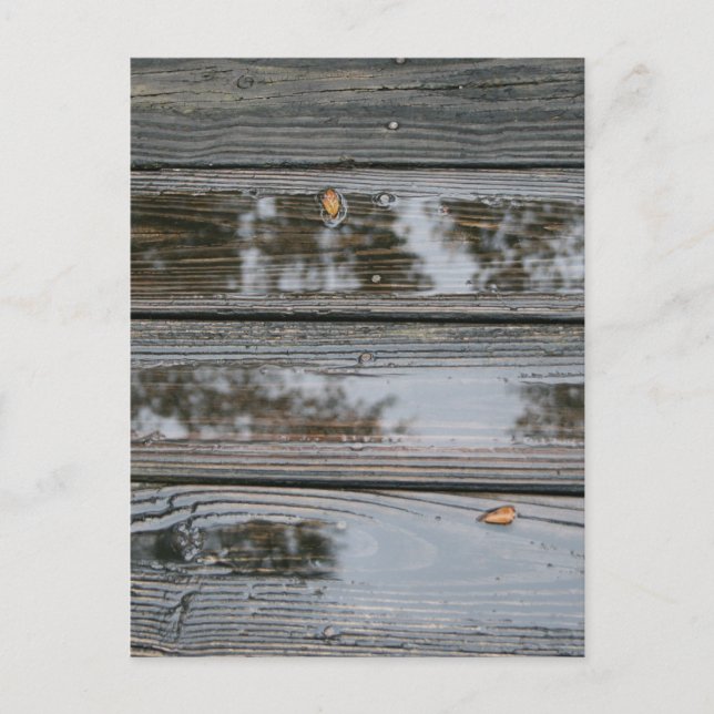 Wet Wood with puddles background image Postcard (Front)