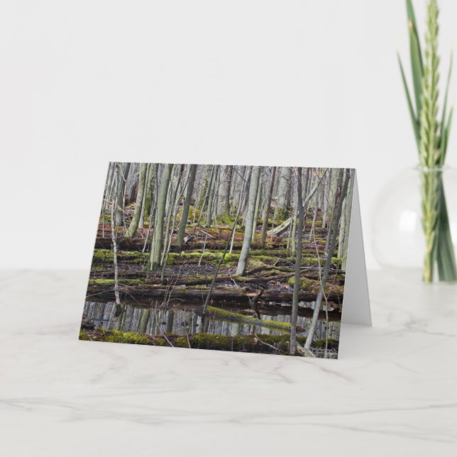 Wet Woodlands 7 x 5 Folded Greeting Card - blank (Front)