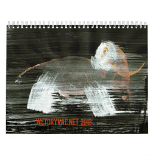 Wetdryvac.Net 2013 Calendar