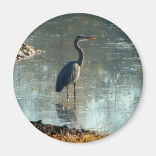 Wetland Blue Heron Magnet