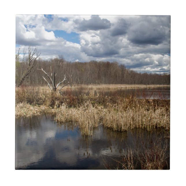 Wetland Cloudscape Tile (Front)