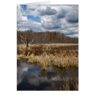 Wetland Cloudscape Vertical