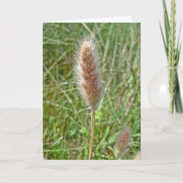 Wetland Grass Seedhead Note Card (Front)