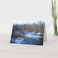 Wetland Ponds In Winter: Happy Birthday