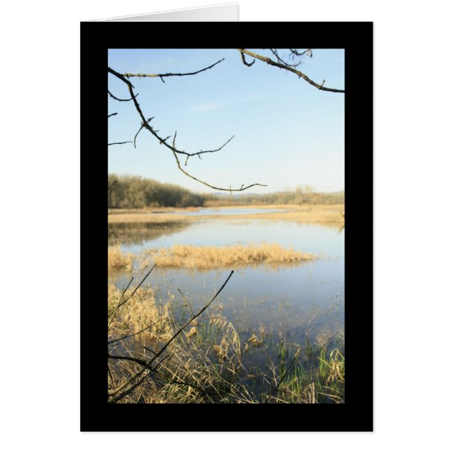 Wetland Wonderland (Front)