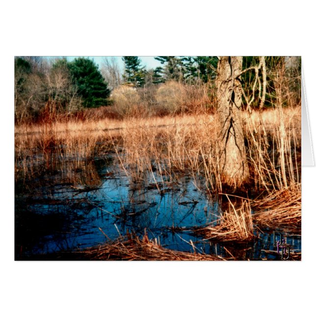 Wetlands (Front Horizontal)