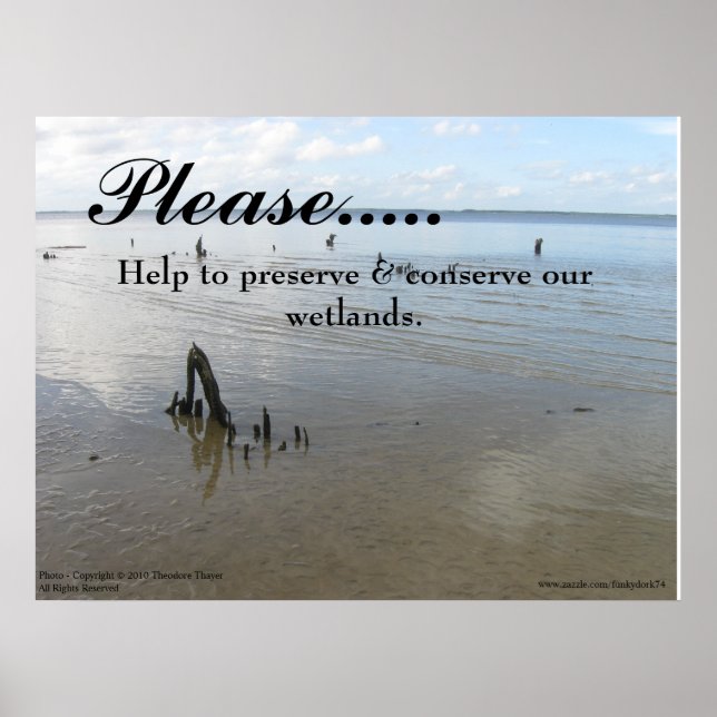 Wetlands poster (Front)