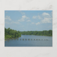 Wetlands Poster