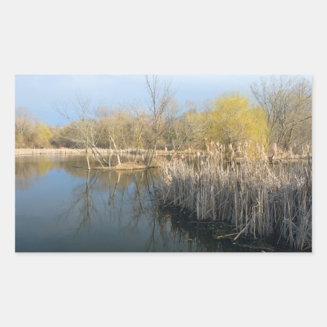 Wetlands Reeds and Trees in West Saint Paul Rectangular Sticker (Front)