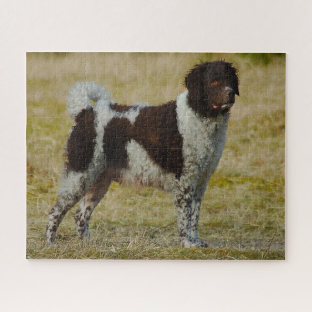 Wetterhoun Dog Jigsaws. Jigsaw Puzzle (Horizontal)