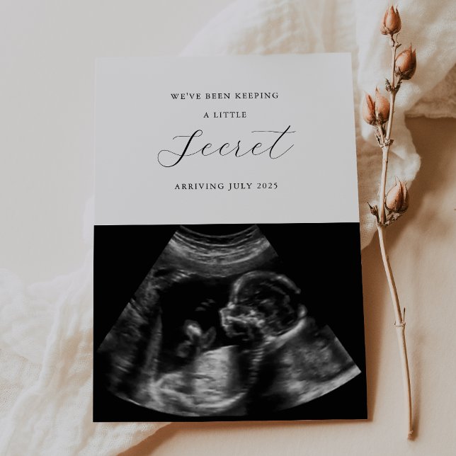 We've Been Keeping a Secret Baby Announcement Card (Creator Uploaded)