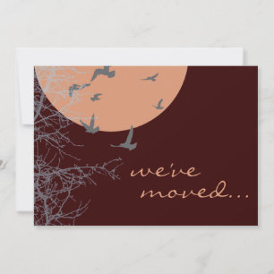 we've moved announcement