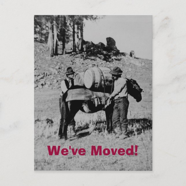 We've Moved! Announcement Postcard (Front)