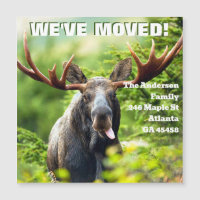We've Moved | Colourful Moose Moving Announcement