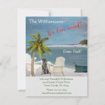 We've Moved Dog Ocean Beach Budget Move