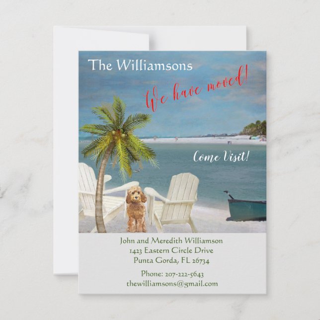 We've Moved Dog Ocean Beach Budget Move    Announcement (Front)