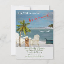 We've Moved Dog Ocean Beach Budget Move   