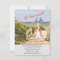 We've Moved Dog Ocean Beach Move