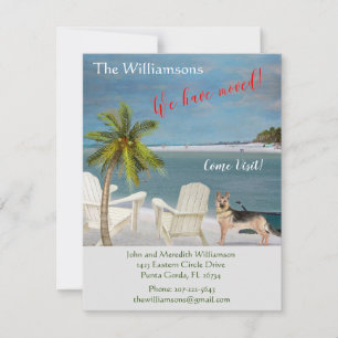 We've Moved Dog Ocean Beach Move Announcement