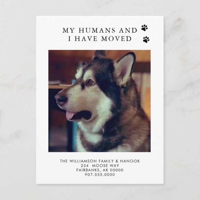 We've Moved Dog Photo New Address Dog Moving  Announcement Postcard (Front)