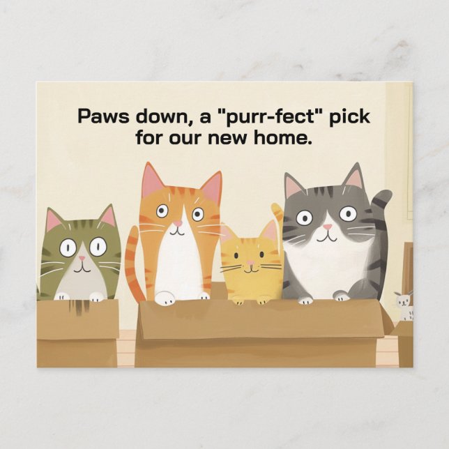 We've Moved Funny Cats New Home Announcement Postcard (Front)