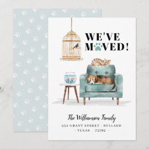 We've Moved New Home Dog & Cat Sleeping Green Sofa Announcement