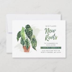 We've Moved New Roots Boho Moving Announcement